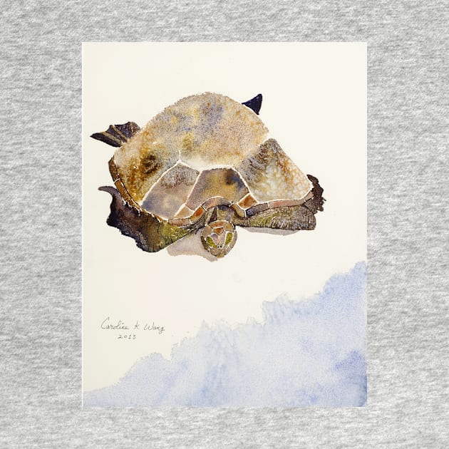 Sea Turtle by Cwang
